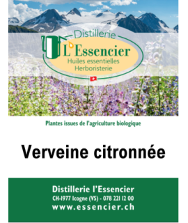 Sirop "Verveine citronnée"